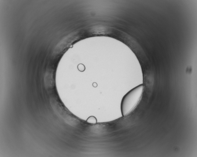 X0000111490422200908251030