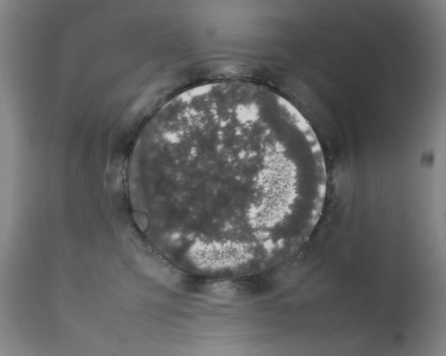 X0000111490423200908251030