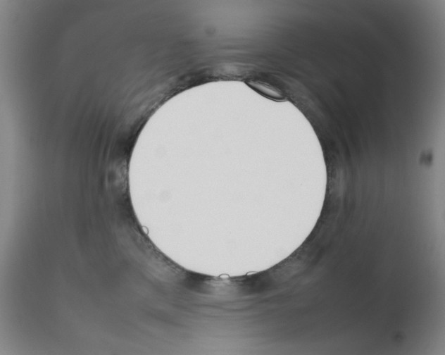 X0000111490425200908251030