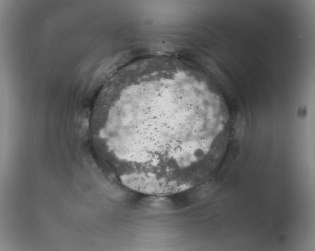 X0000111490427200908251030