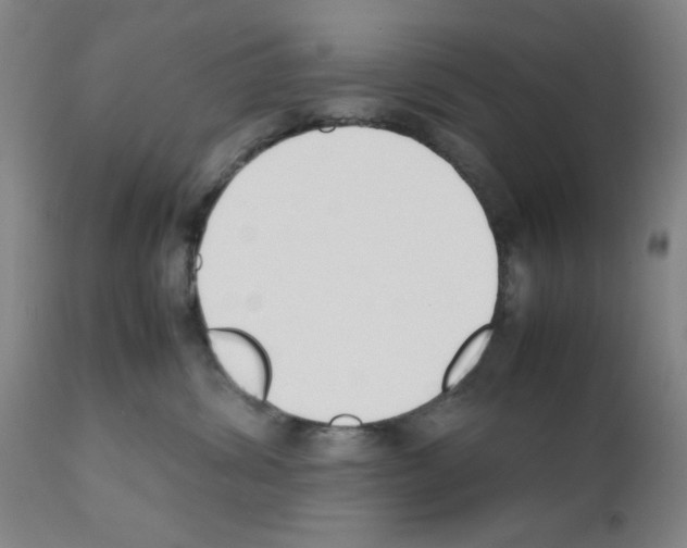 X0000111490428200908251030
