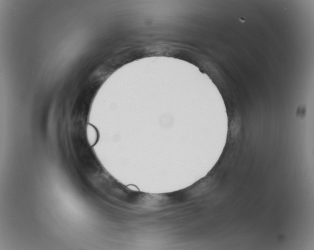 X0000111490429200908251030
