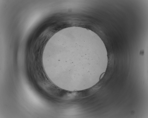 X0000111490430200908251030