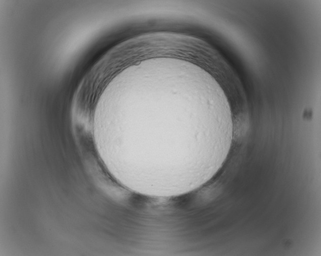 X0000111490431200908251030