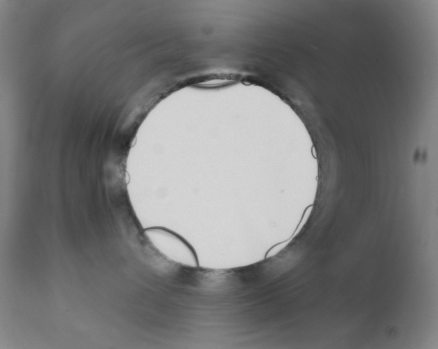 X0000111490432200908251030