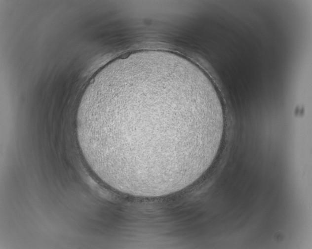 X0000111490433200908251029