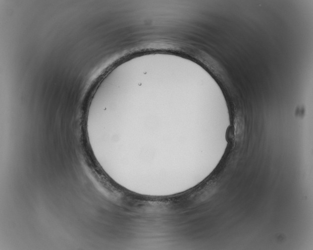 X0000111490436200908251029