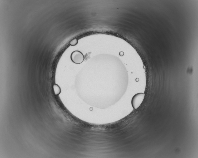 X0000111490440200908251029