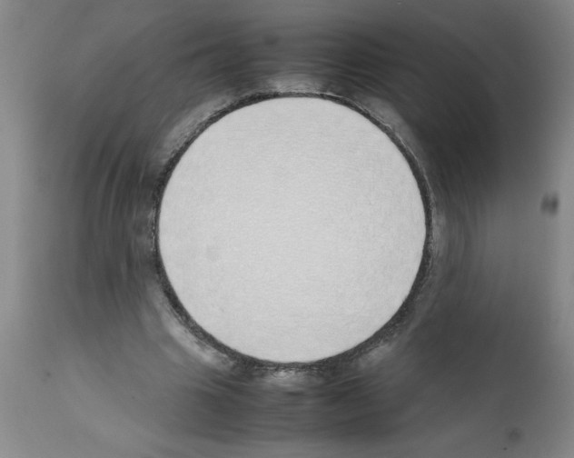 X0000111490441200908251029