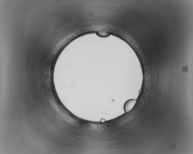 X0000111490442200908251029