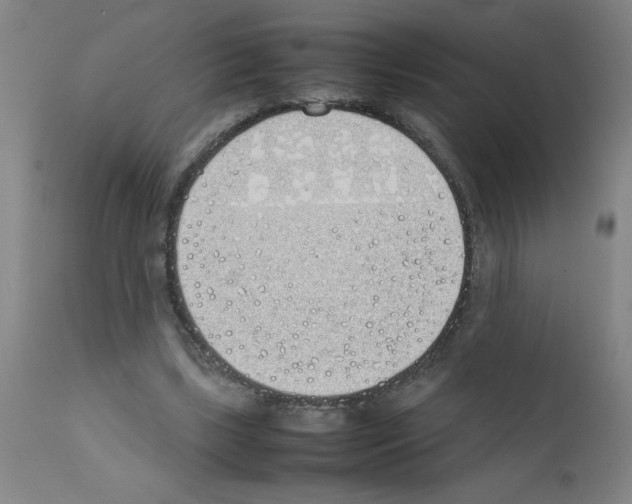 X0000111490443200908251029