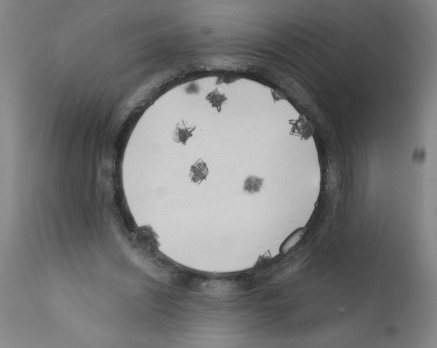 X0000111490444200908251029