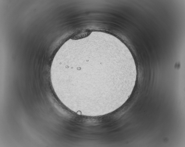 X0000111490445200908251029