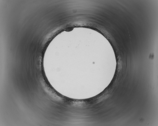 X0000111490446200908251029