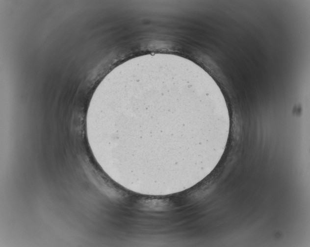 X0000111490449200908251029