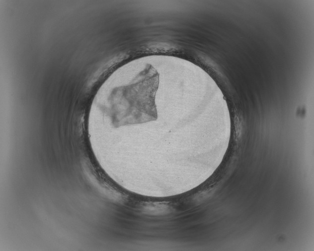 X0000111490451200908251029