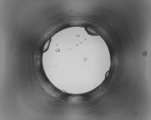 X0000111490452200908251029