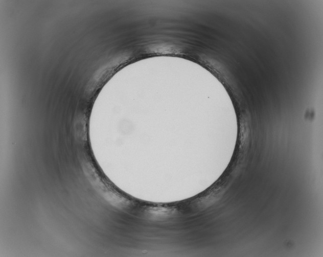 X0000111490453200908251029
