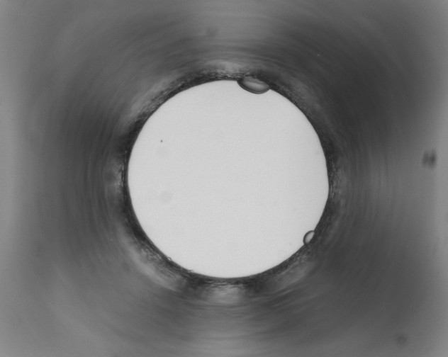 X0000111490456200908251029