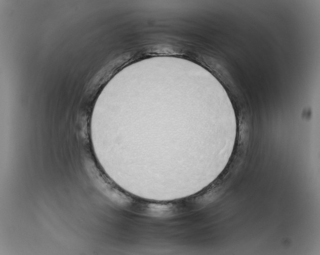 X0000111490457200908251029