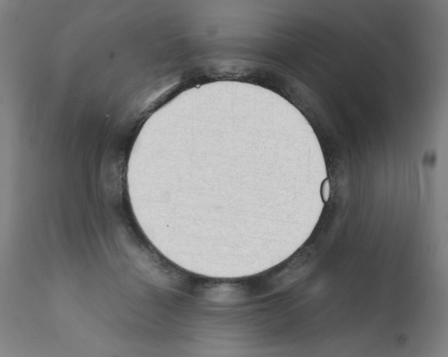 X0000111490460200908251029