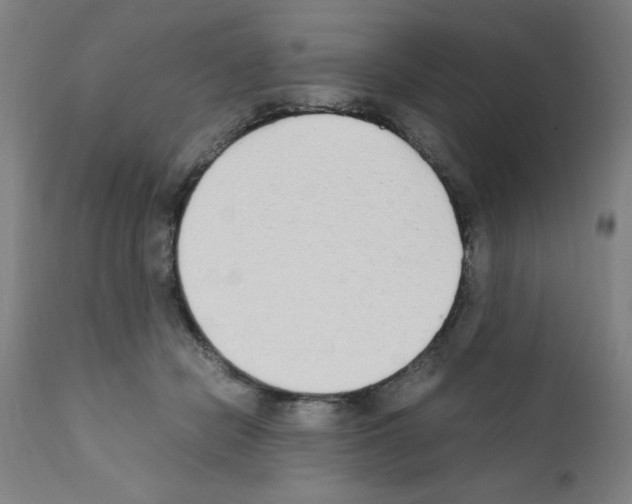 X0000111490462200908251029