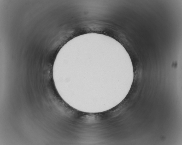 X0000111490464200908251029