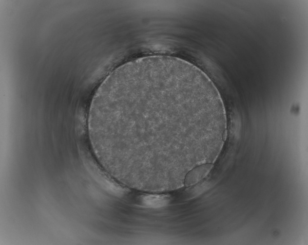 X0000111490465200908251029