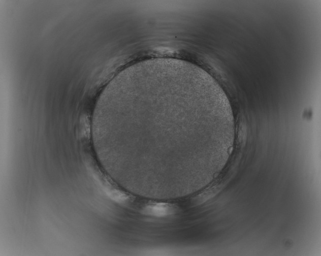 X0000111490467200908251029