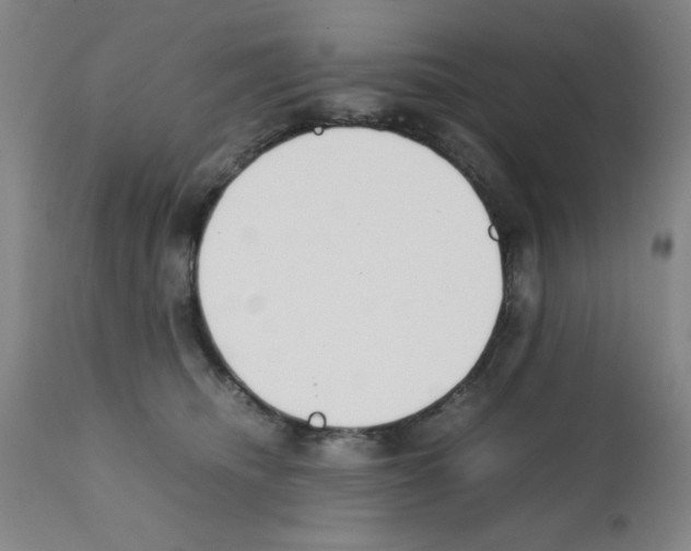 X0000111490468200908251030