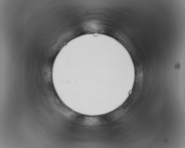 X0000111490469200908251030