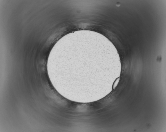 X0000111490470200908251030