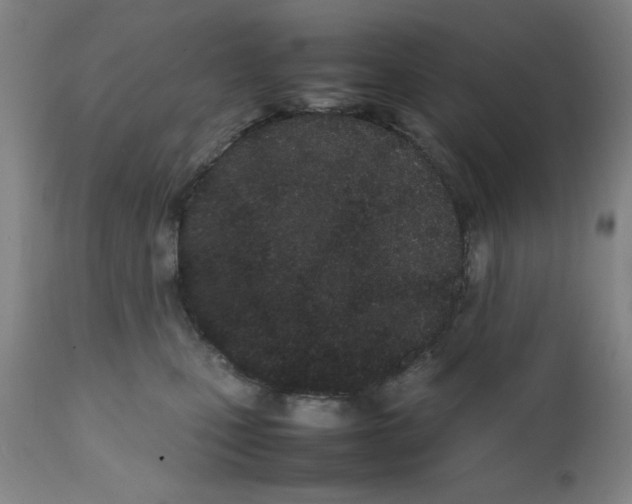 X0000111490471200908251030
