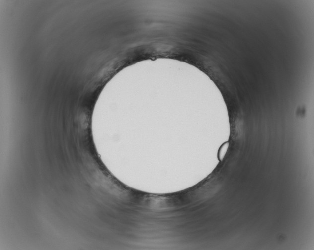 X0000111490472200908251030