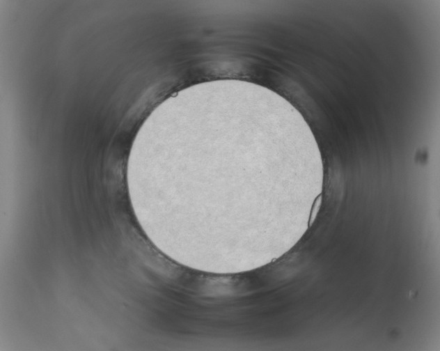 X0000111490473200908251030