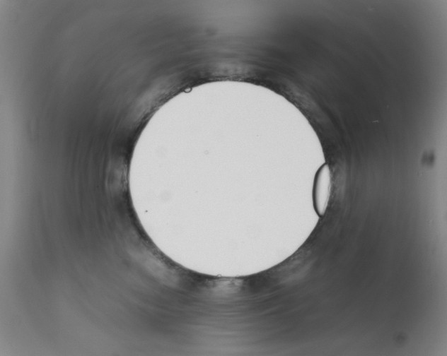 X0000111490474200908251030