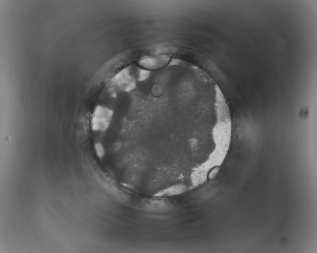 X0000111490475200908251030