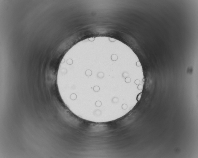 X0000111490476200908251030