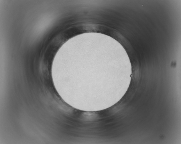 X0000111490477200908251030