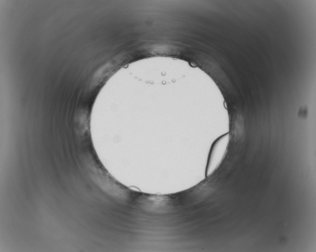 X0000111490478200908251030