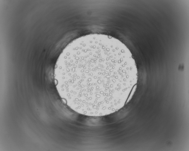 X0000111490479200908251030