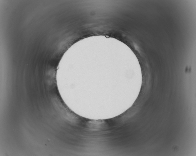 X0000111490480200908251030