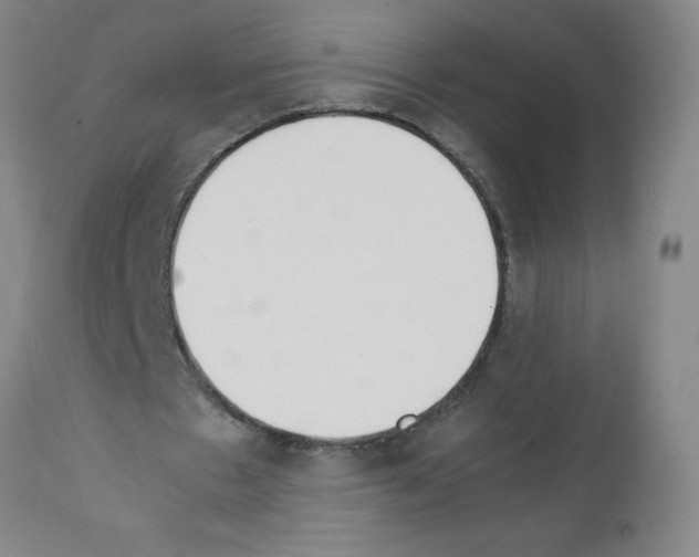 X0000111490481200908251029