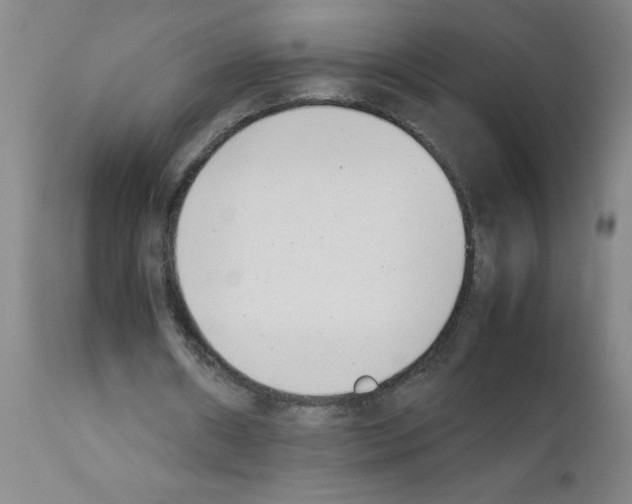 X0000111490482200908251029