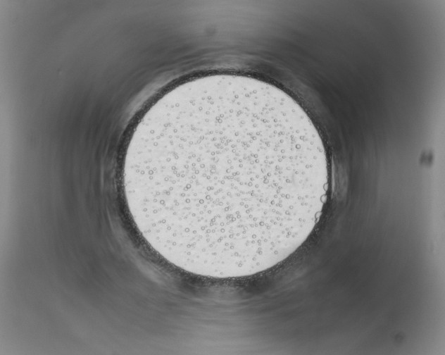 X0000111490483200908251029
