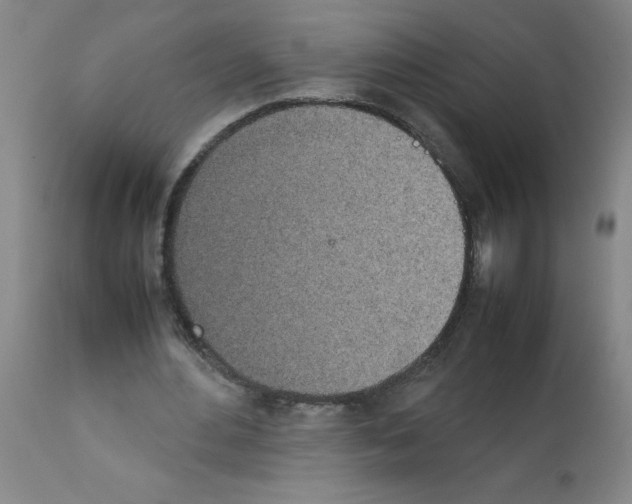 X0000111490484200908251029