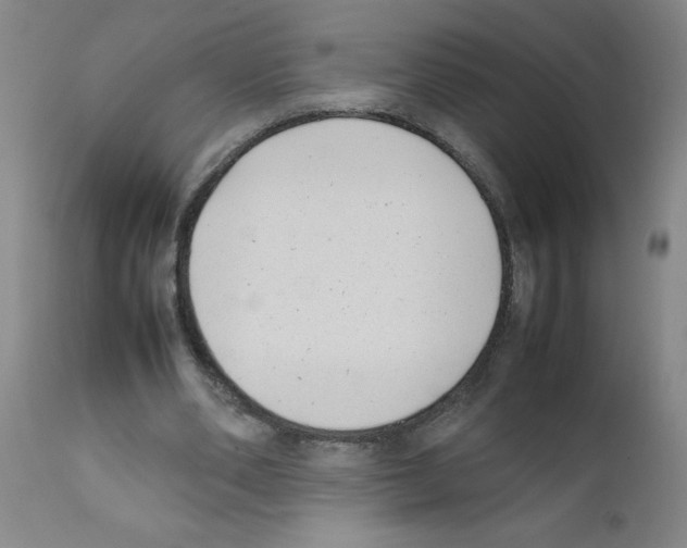 X0000111490486200908251029