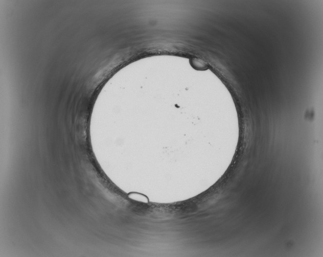 X0000111490489200908251029