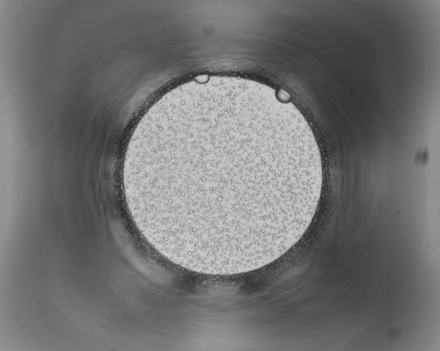 X0000111490491200908251029