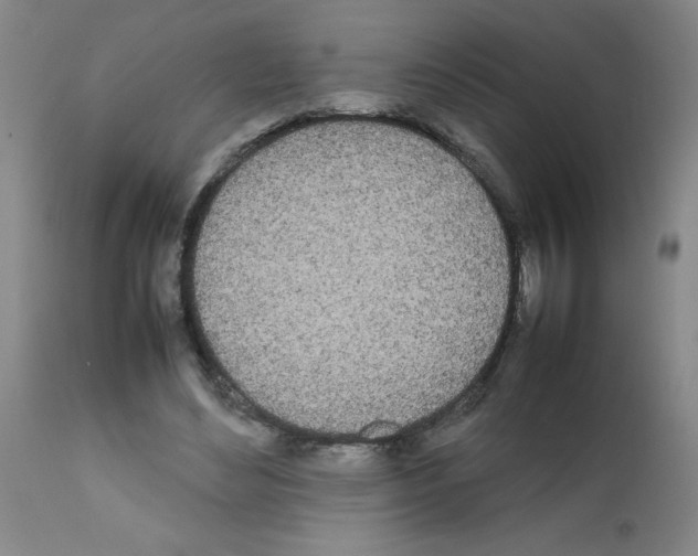 X0000111490492200908251029